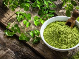 Benefits of Moringa leaves for daily use