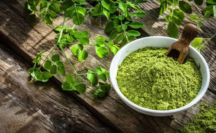 Benefits of Moringa leaves for daily use