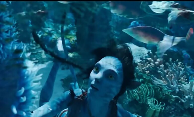 Cameron's blockbuster Avatar 2 does tremendous business