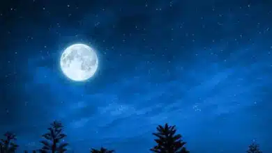 Amavasya 2023 Dates, Timings and Rituals