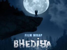 huge drop in collection of film Bhediya on 11th day