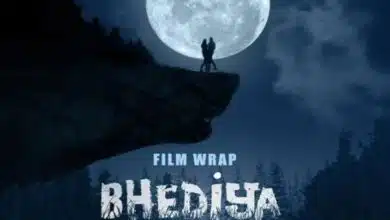 huge drop in collection of film Bhediya on 11th day