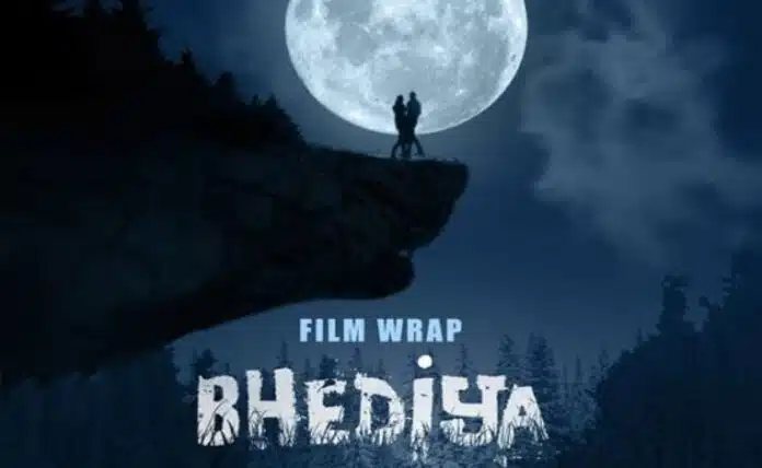 huge drop in collection of film Bhediya on 11th day