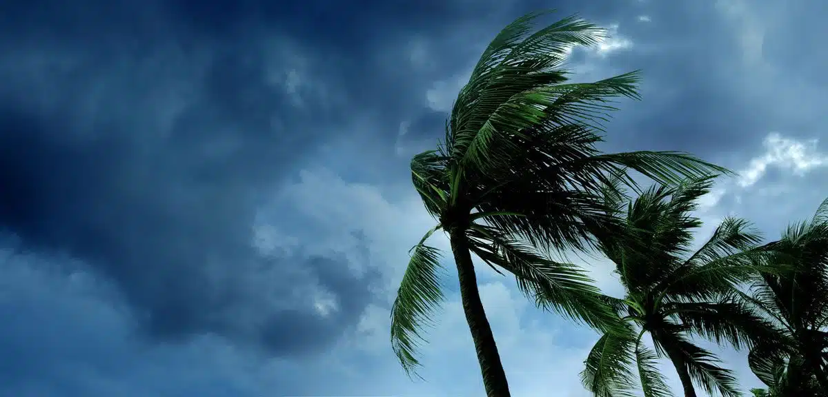 Tamil Nadu is on high alert due to cyclone
