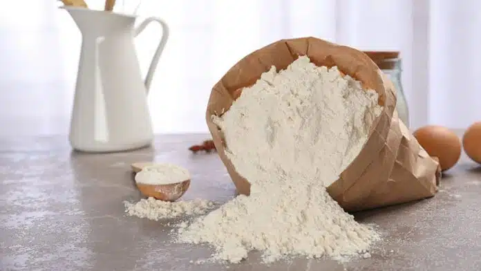 include these 6 flours in winter diet