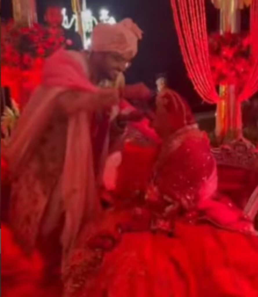 lavish wedding of Hansika Motwani and Sohail Kathuria