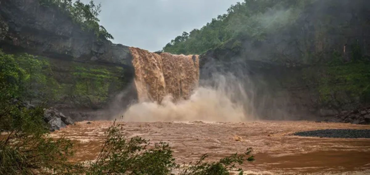 Gujarat's contribution to the cultural aspect of India