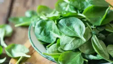 A list of 5 palak recipes to try for dinner