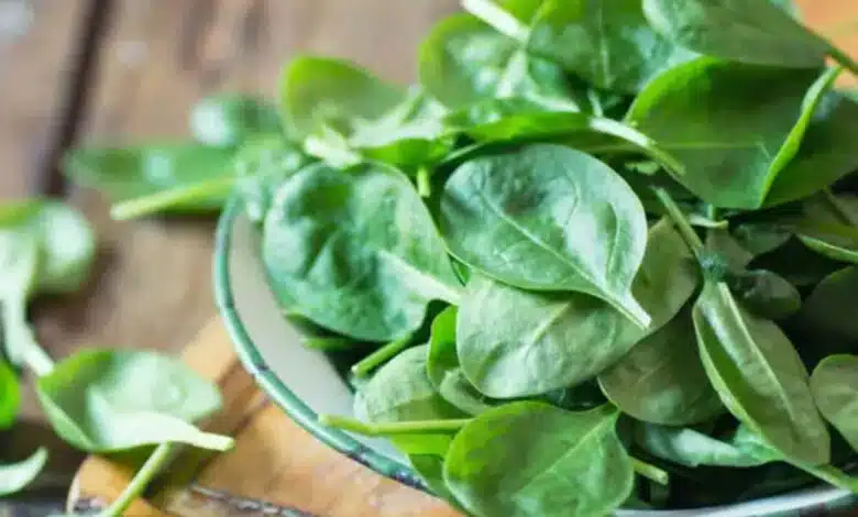 A list of 5 palak recipes to try for dinner