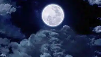 Paush Purnima 2023 Vrat Date and Muhurta