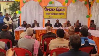 Pensioners Day was organized in Ameth