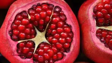Health Benefits of Pomegranate Peel