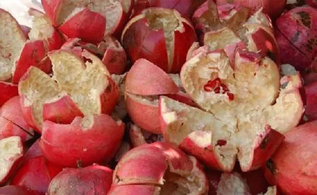 Health Benefits of Pomegranate Peel