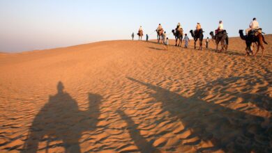 Rajasthan's rich heritage of art, culture, and architecture