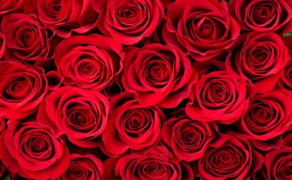Celebrating feeling of love on Valentine's Day 2023
