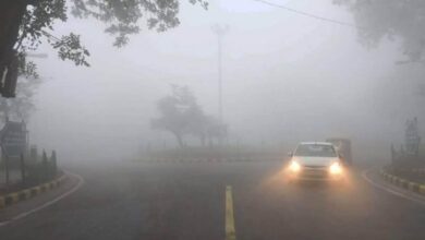 Severe cold increased in some states of North India