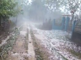 Severe storm in Assam, about 45,000 houses destroyed