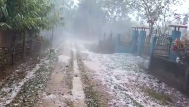 Severe storm in Assam, about 45,000 houses destroyed
