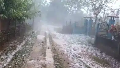 Severe storm in Assam, about 45,000 houses destroyed