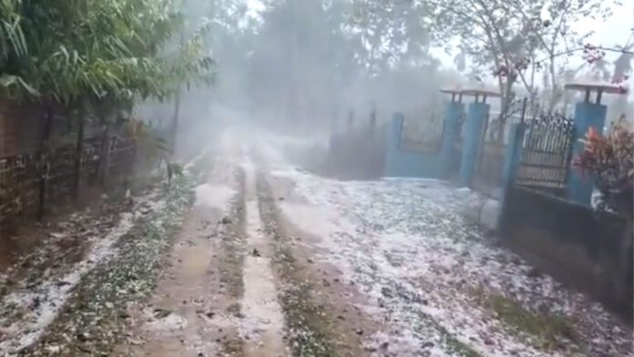 Severe storm in Assam, about 45,000 houses destroyed