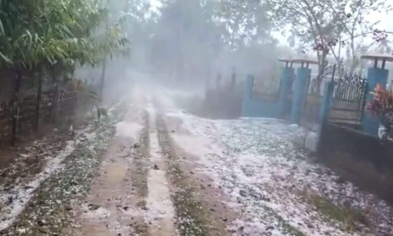 Severe storm in Assam, about 45,000 houses destroyed