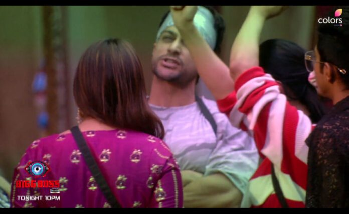 Another fight of Shaleen in Bigg Boss house