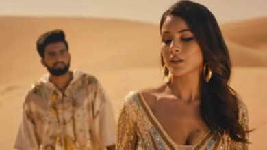 Shahnaz looks mesmerizing in Ghani Syaani