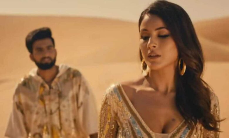 Shahnaz looks mesmerizing in Ghani Syaani