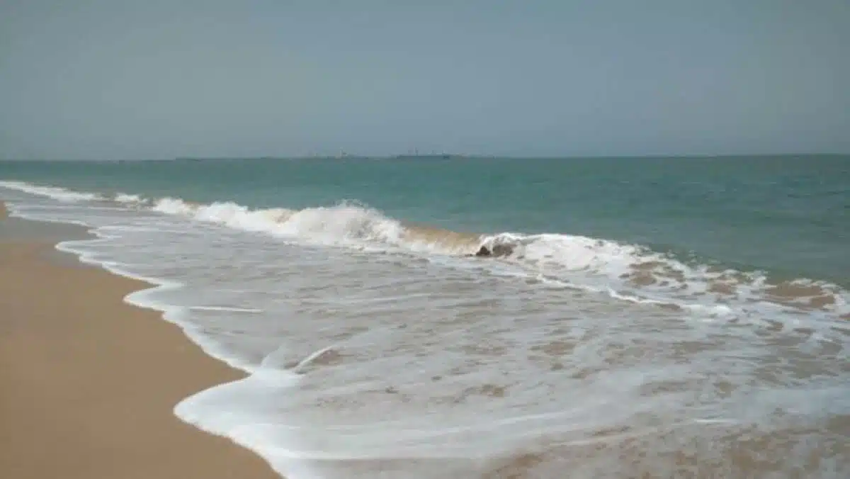 Gujarat's contribution to the cultural aspect of India