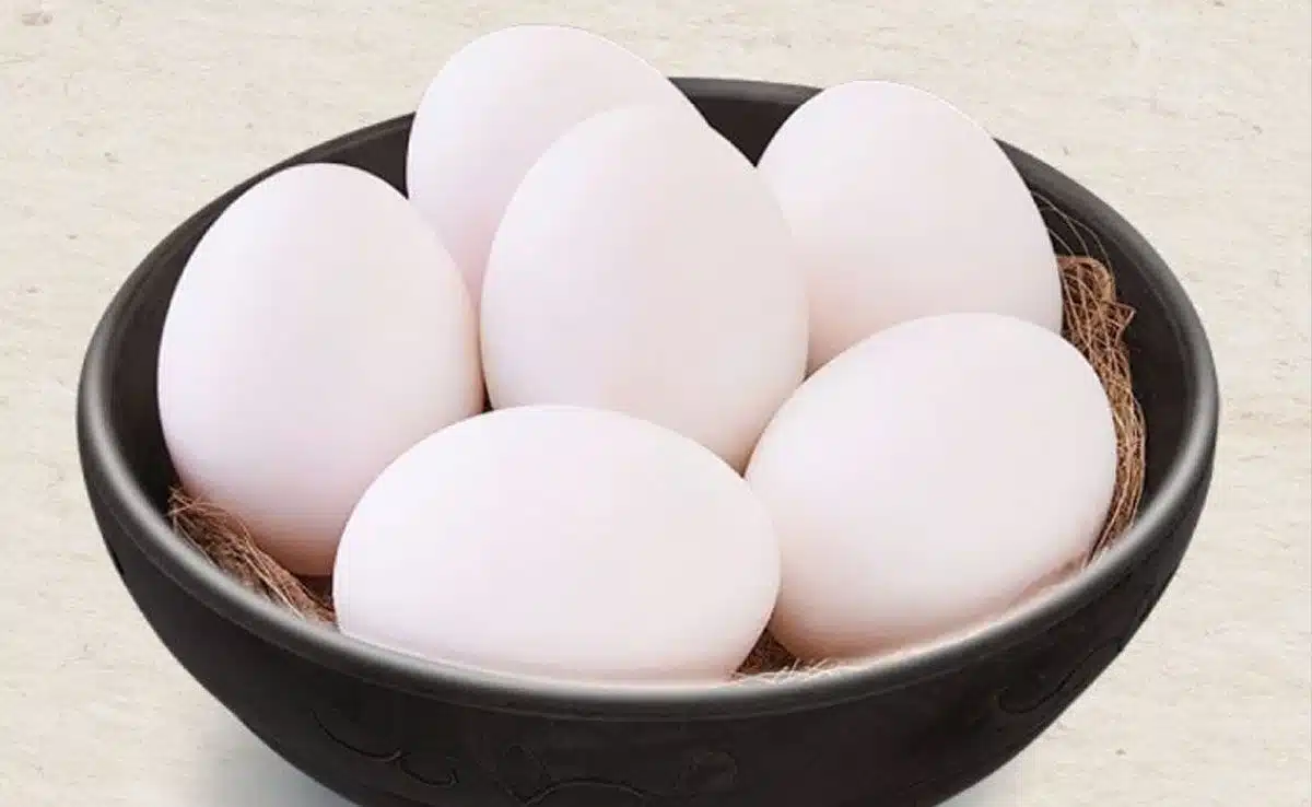 eggs Food required for the physical development of the child