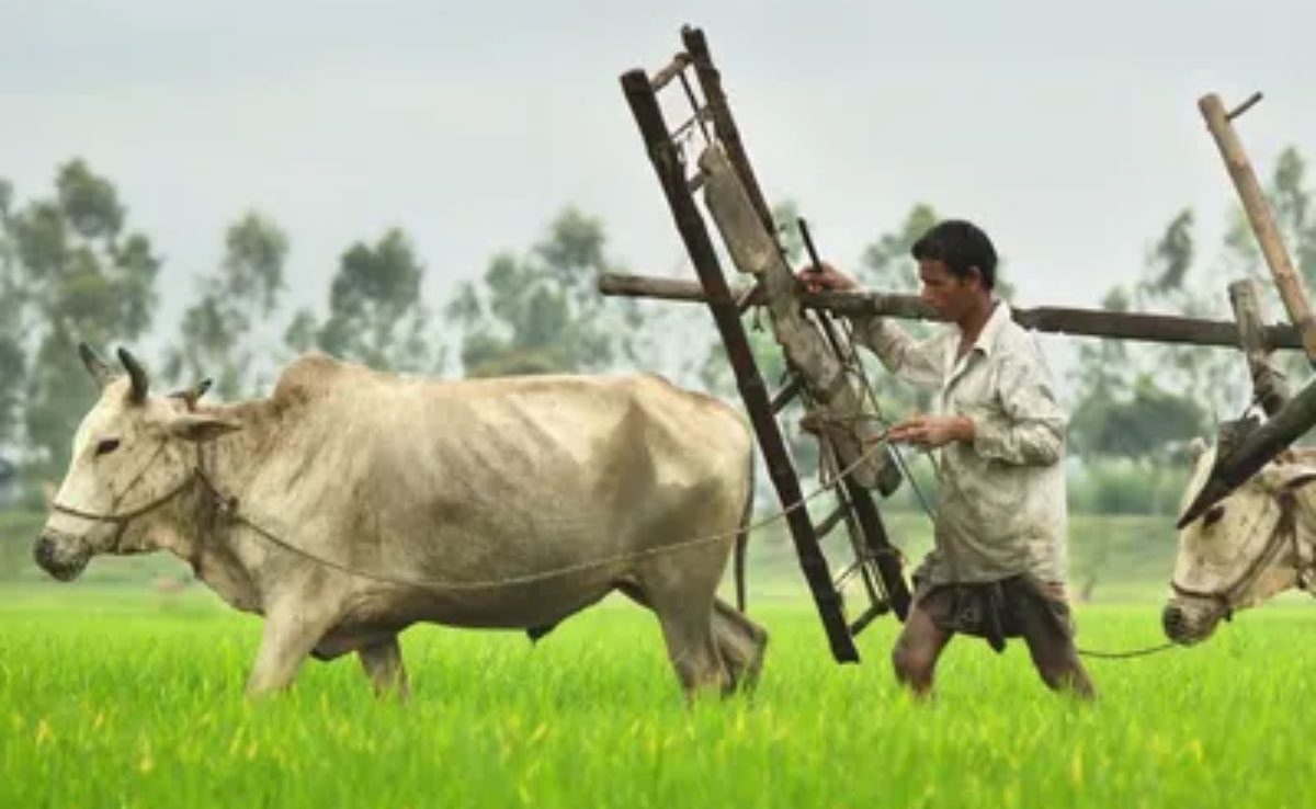 Contribution of Bihar to the history of India