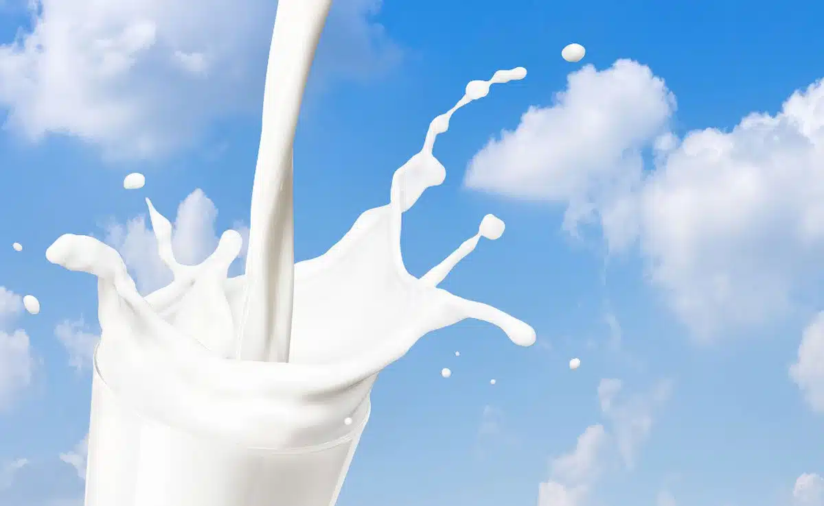 milk Food required for the physical development of the child