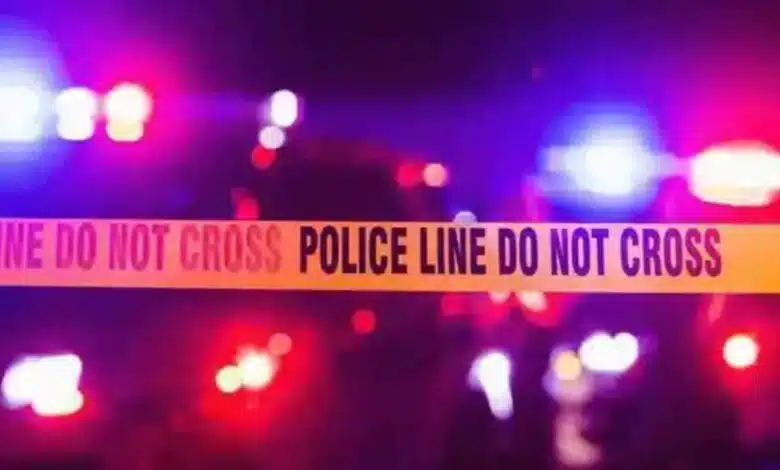 Bodies of 3 Russian men found in Odisha in 15 days