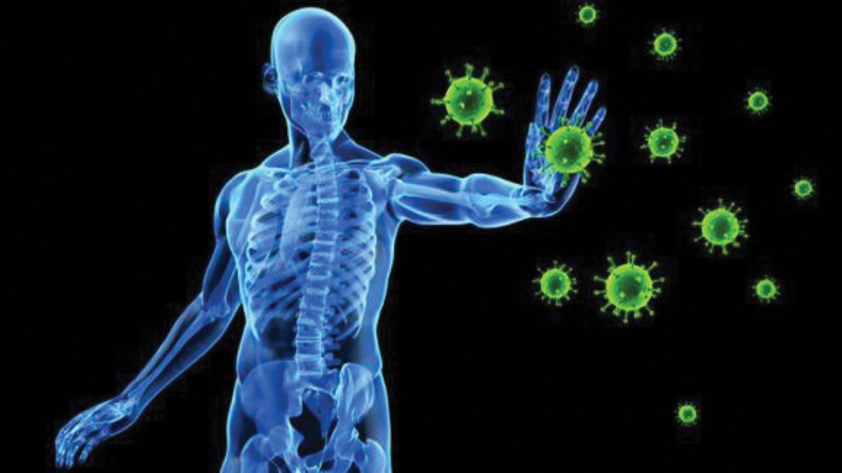 Increases immunity Amazing health benefits of neem leaves
