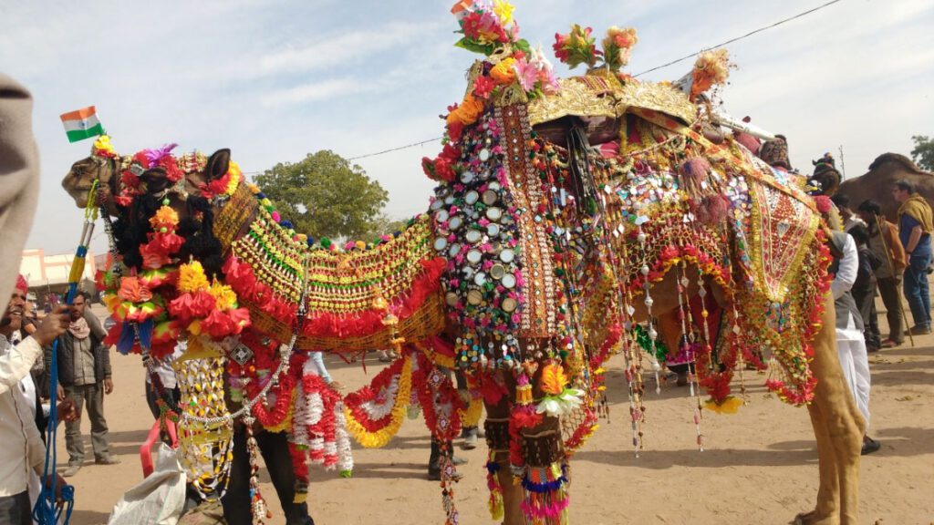 
Famous fair and festival of Royal Rajasthan