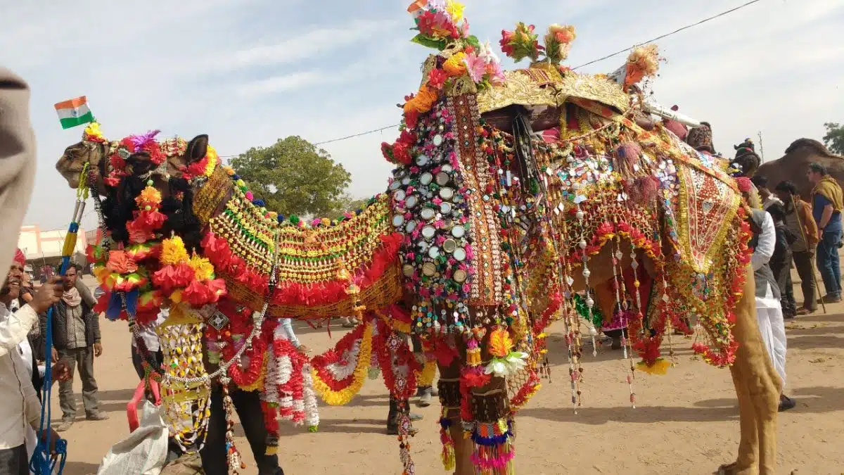 
Famous fair and festival of Royal Rajasthan