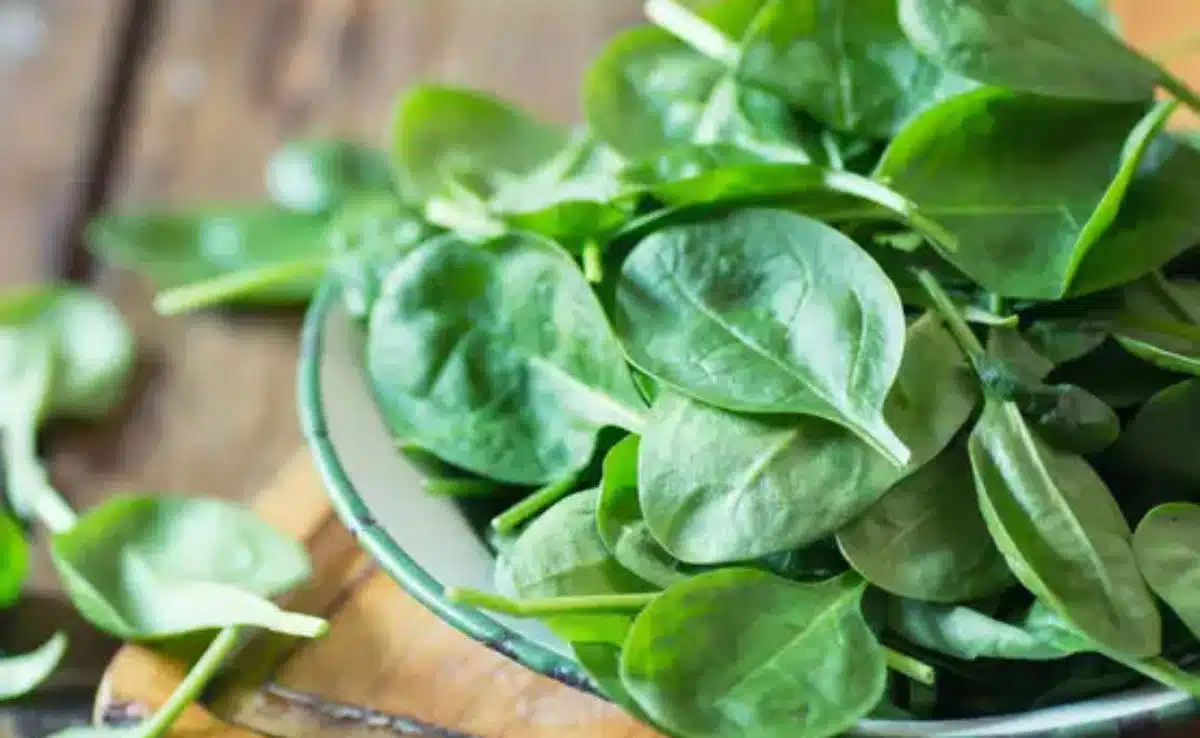 5 Quick and Easy Palak Recipes