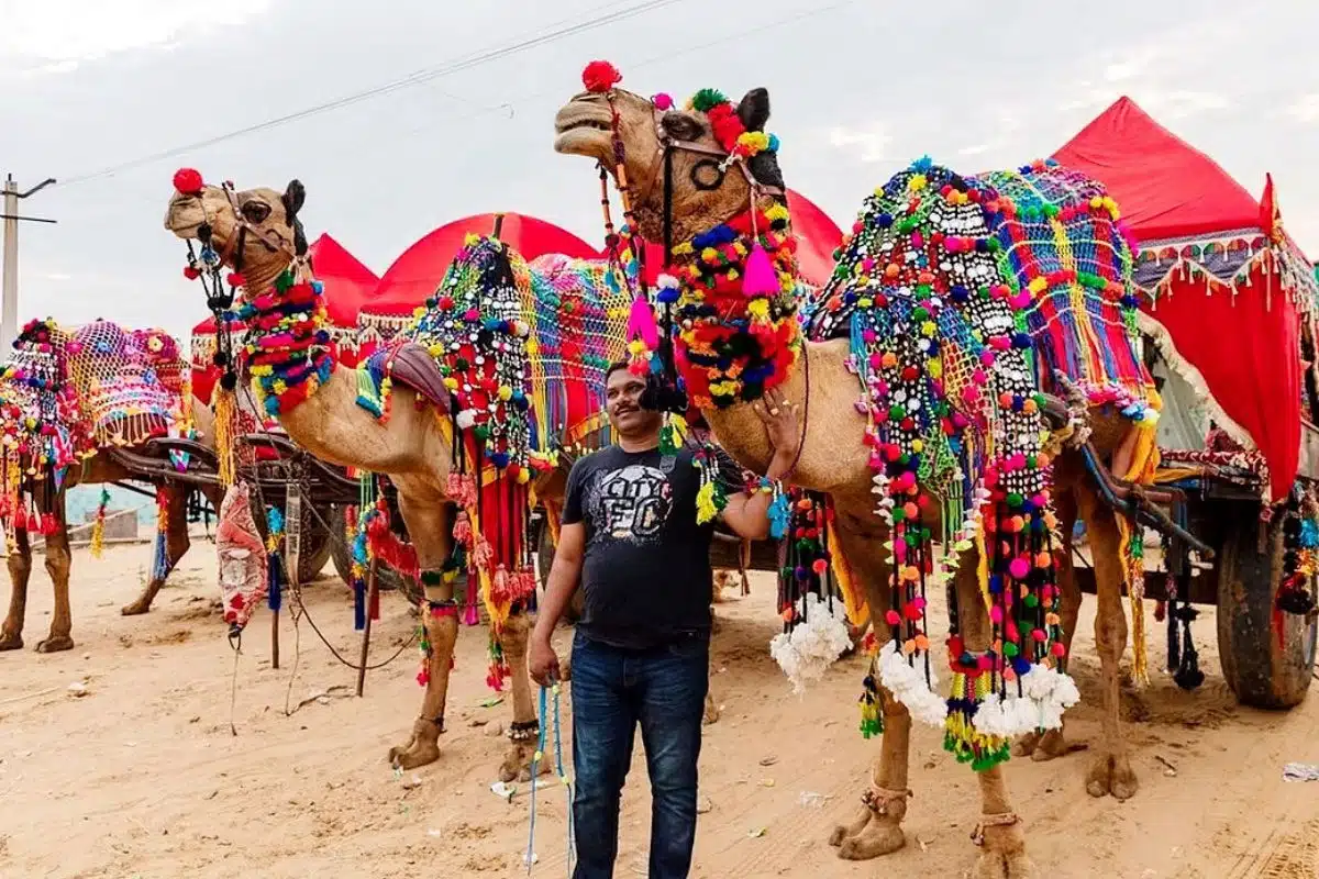 
Famous fair and festival of Royal Rajasthan