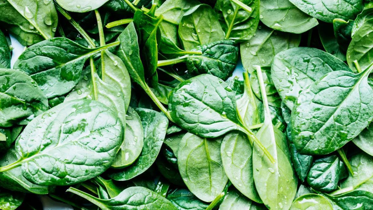 Spinach Winter Foods to Control High Blood Pressure