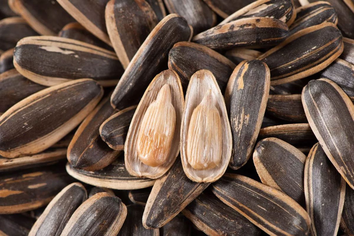 Add nuts and seeds to your diet for weight loss
