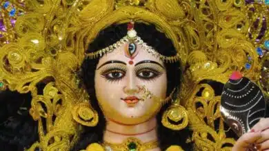 Gupt Navratri 2023: Days, Date, Significance