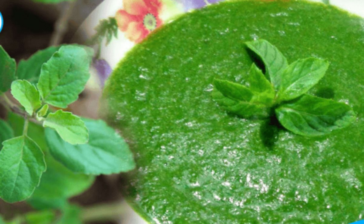 Tulsi Chutney to increase immunity in winter