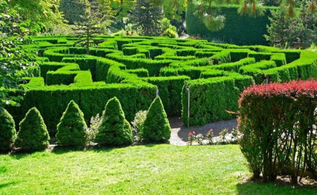 7 Most Beautiful And Famous Gardens Of India