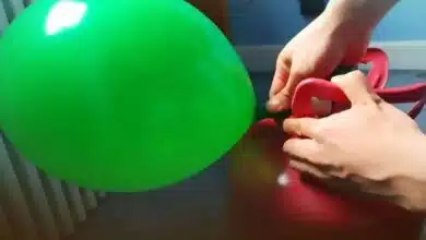 Gas balloon cylinder explodes at West Bengal fair