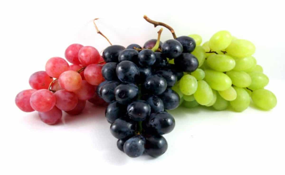 These 5 foods will help you quit smoking