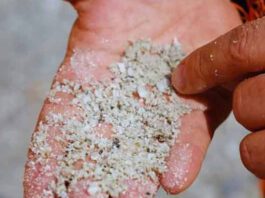 India's 1st lithium deposit found in JK