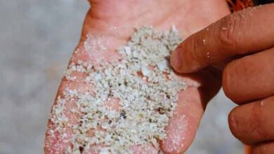 India's 1st lithium deposit found in JK