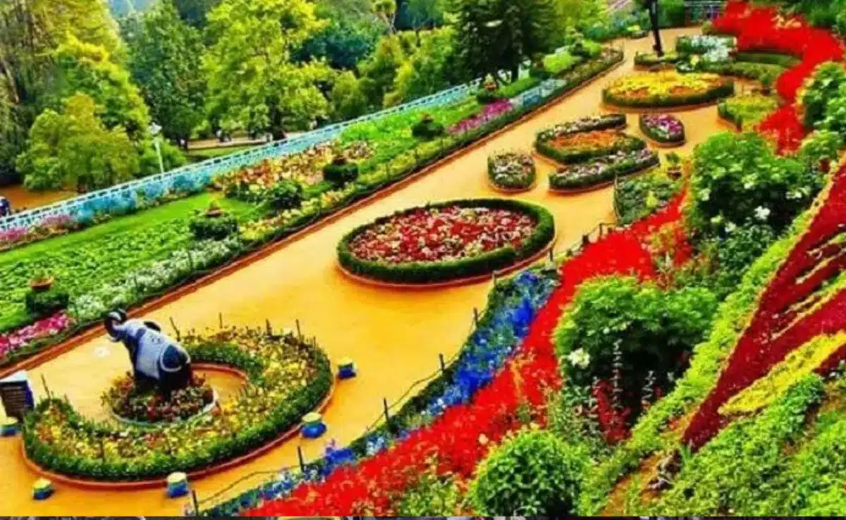 Ooty Flower Show 8 Famous Flower Festivals and Events Held in India