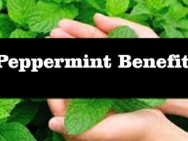 beneficial properties of peppermint