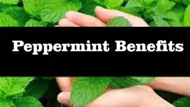 beneficial properties of peppermint
